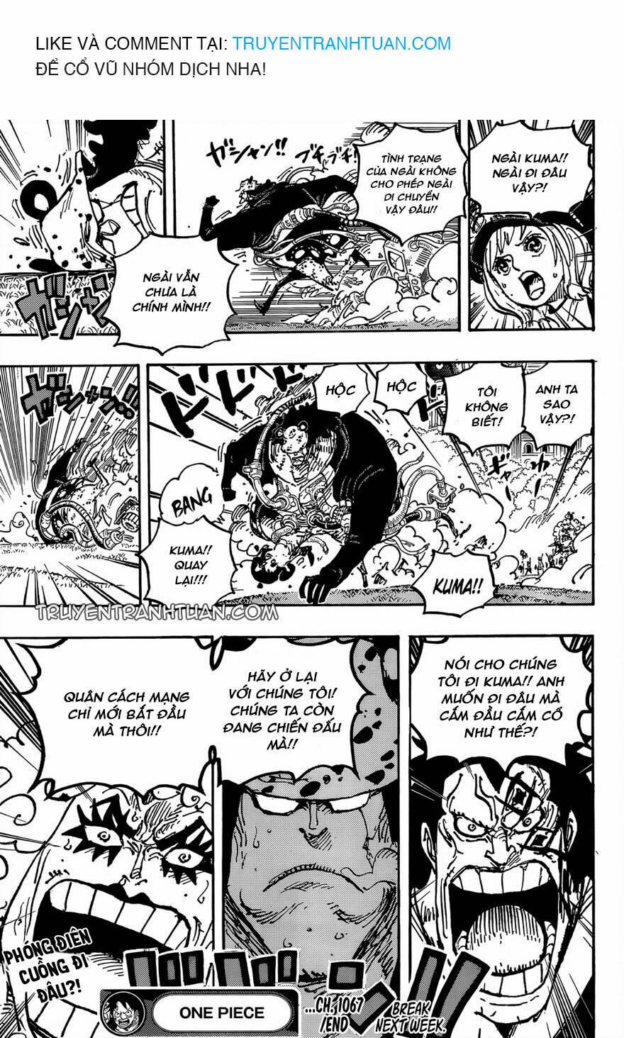 One Piece 1067 trang 14
