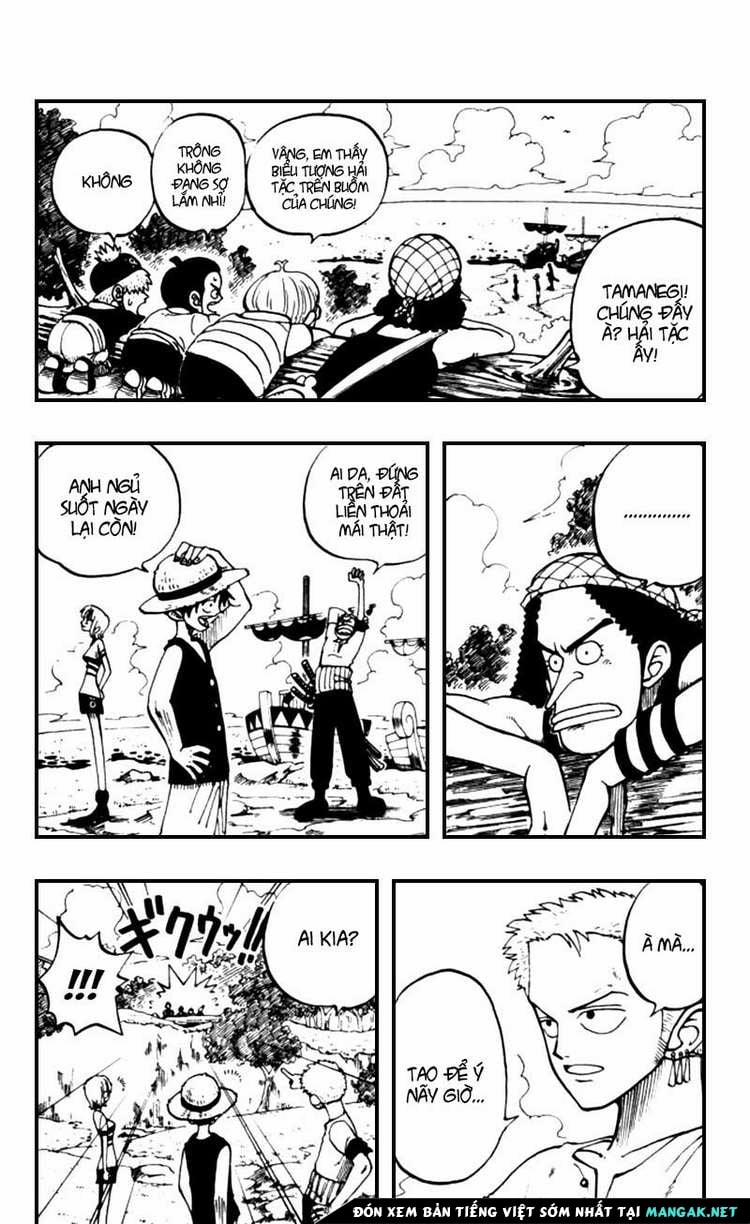One Piece 23 trang 11