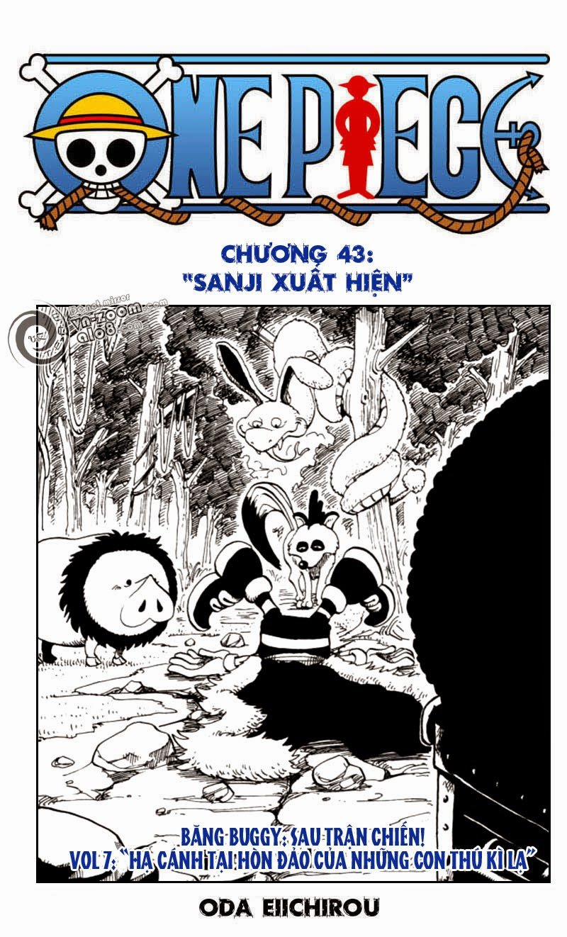One Piece 43 trang 0
