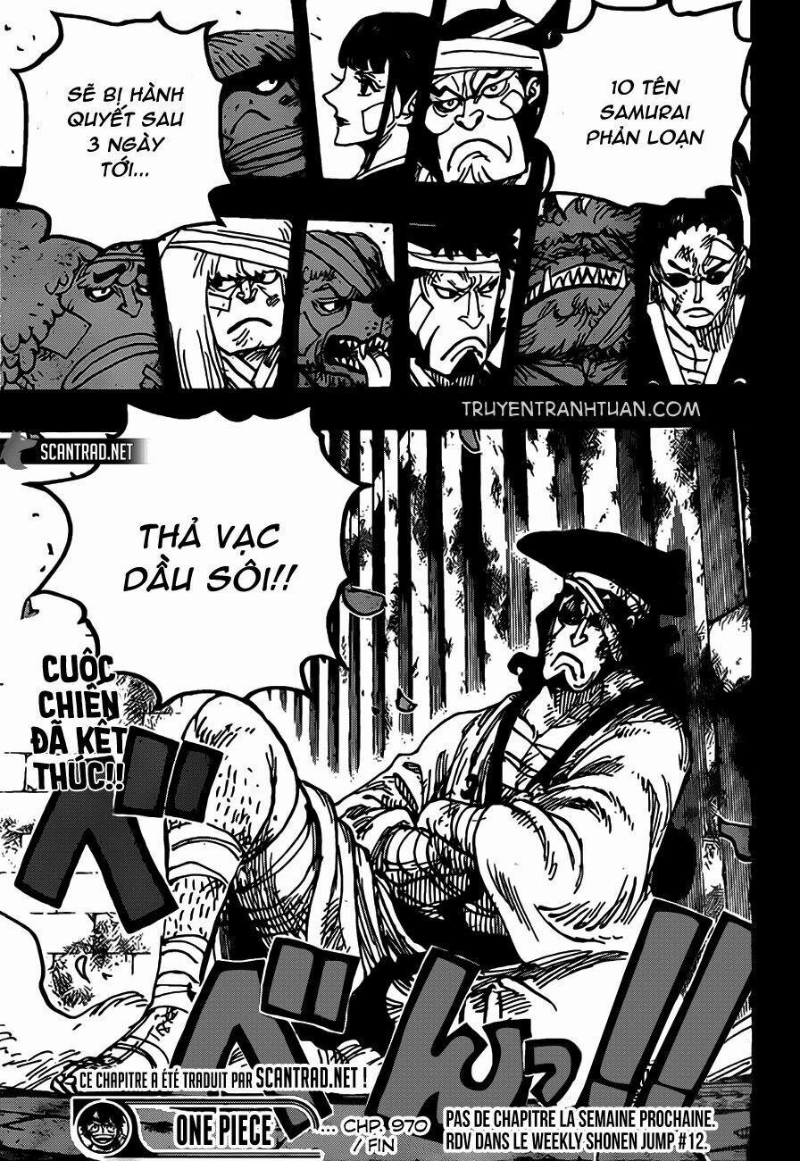 One Piece 970 trang 12