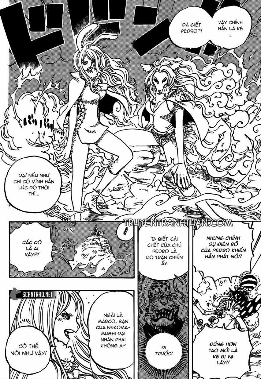 One Piece 995 trang 3
