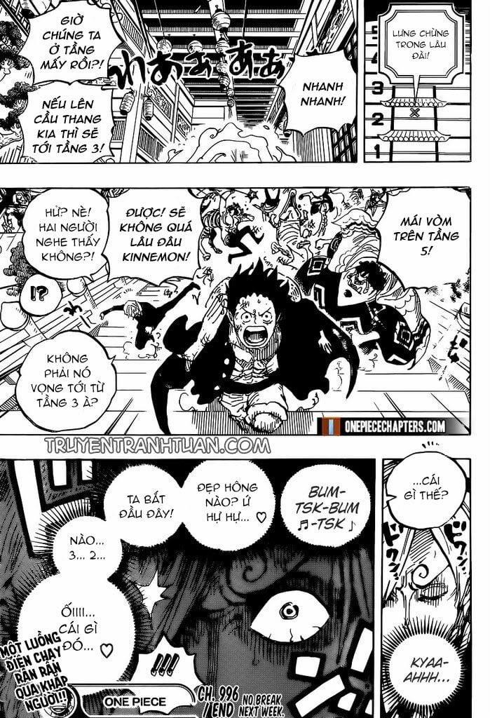 One Piece 996 trang 15