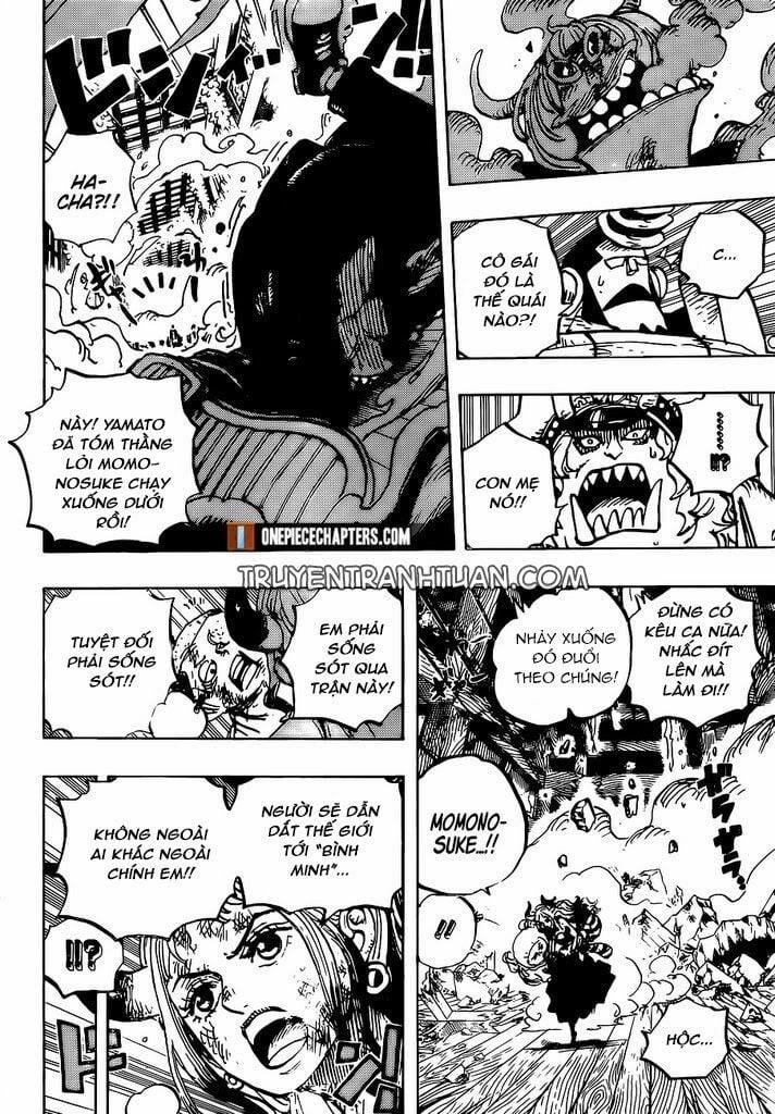 One Piece 996 trang 8