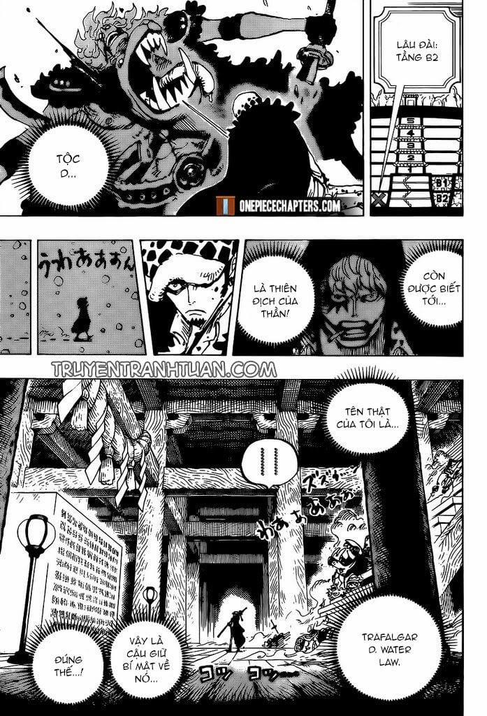 One Piece 996 trang 9
