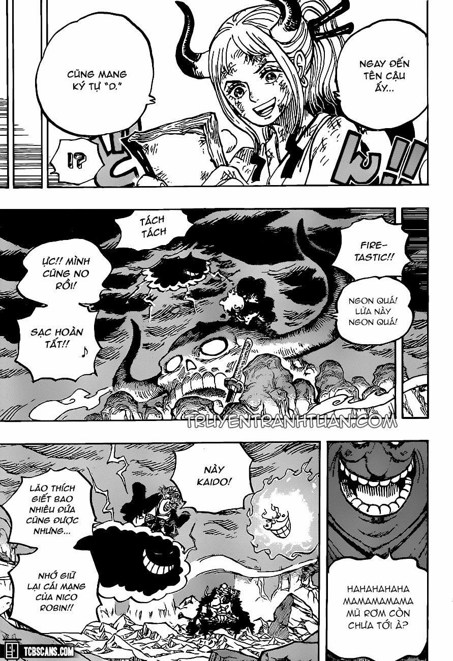 One Piece 999 trang 14