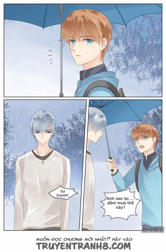 Ông Bố Đơn Thân Hàng Tỷ 10 trang 11