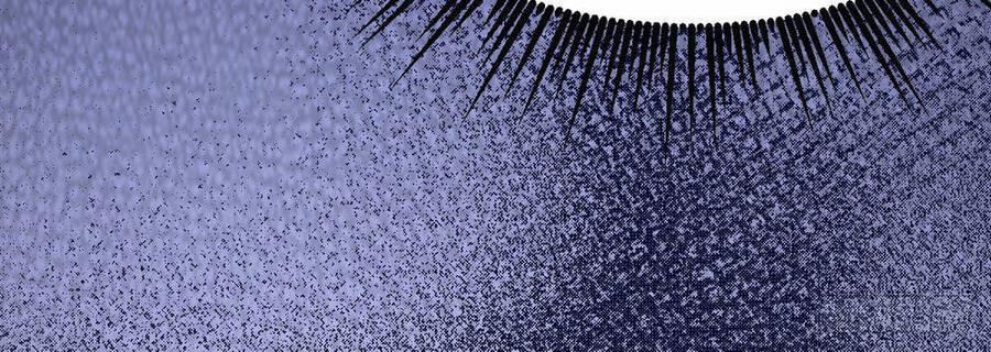 Ông Bố Mạnh Mẽ Nhất Lịch Sử 10 trang 5