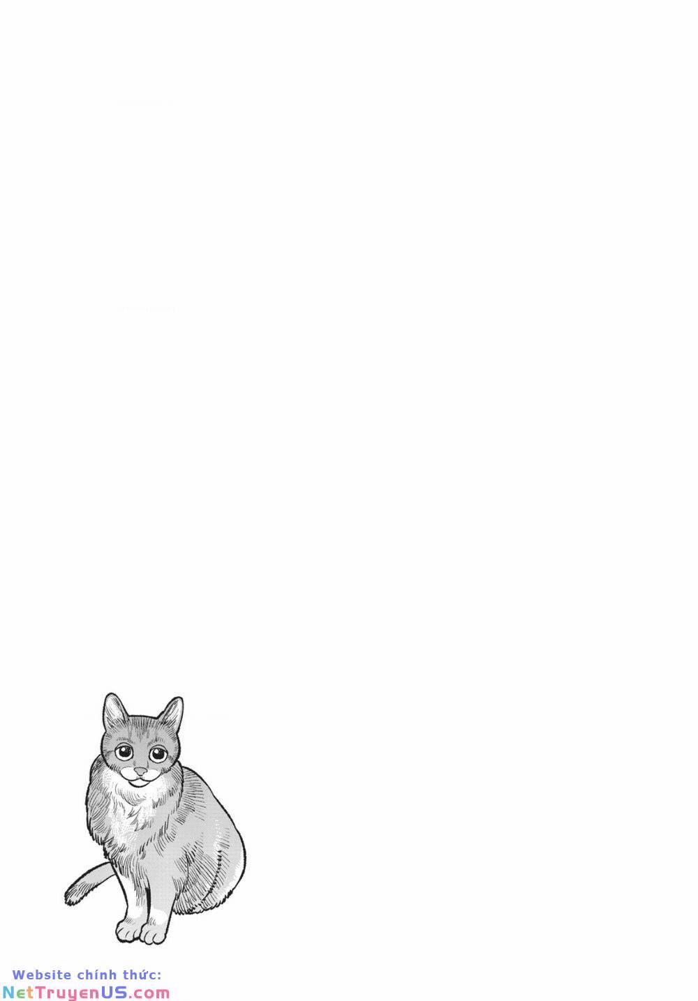 Ông Chồng Yakuza Nội Trợ 89 trang 15