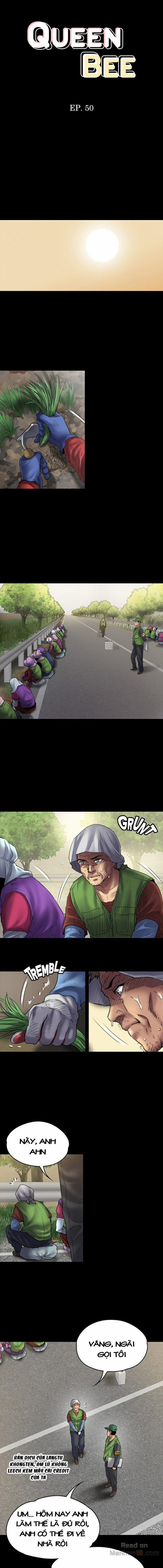 Ong Chúa (Queen Bee) 50 trang 2
