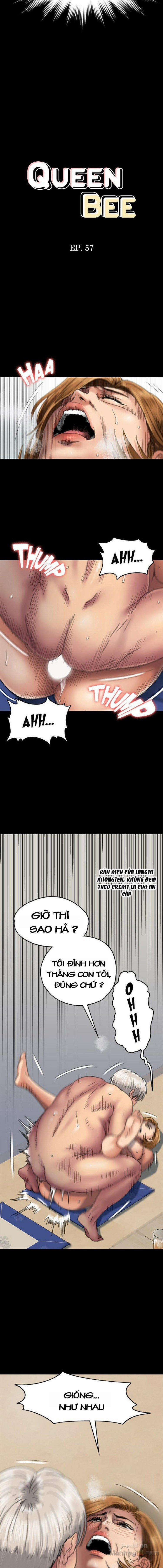 Ong Chúa (Queen Bee) 57 trang 2