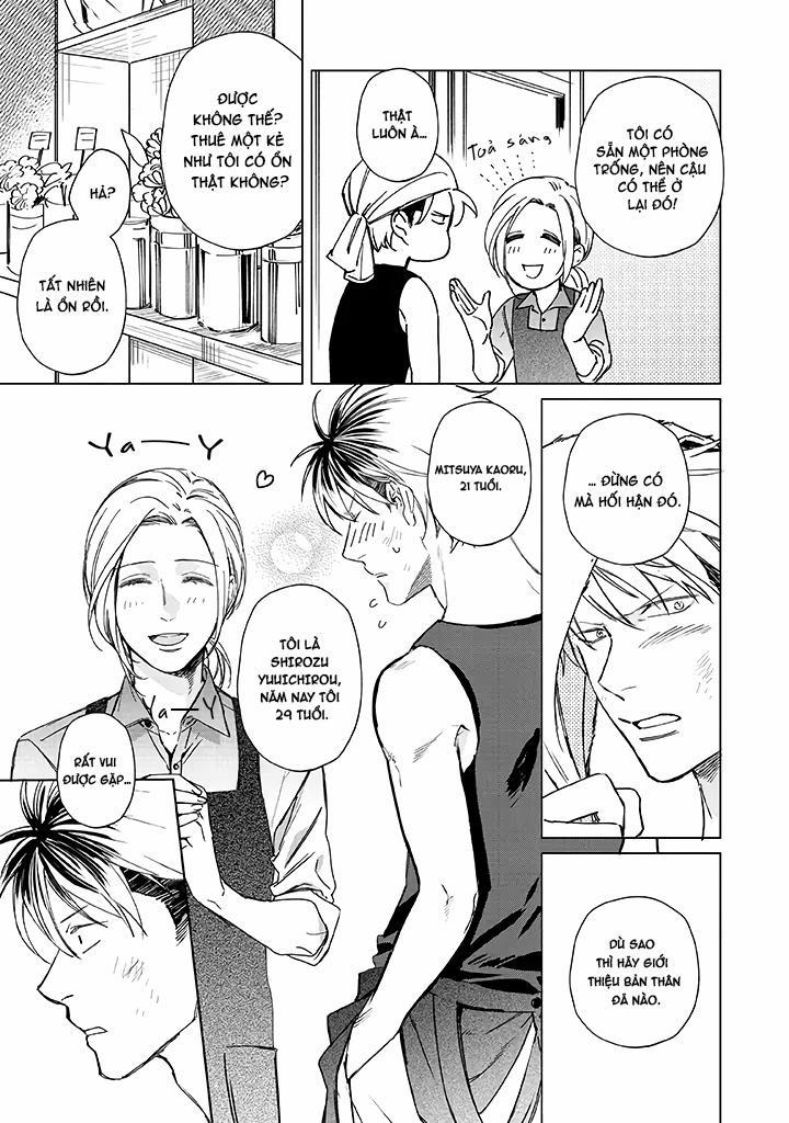 Ong Mật Và Tía Tô 1 trang 21