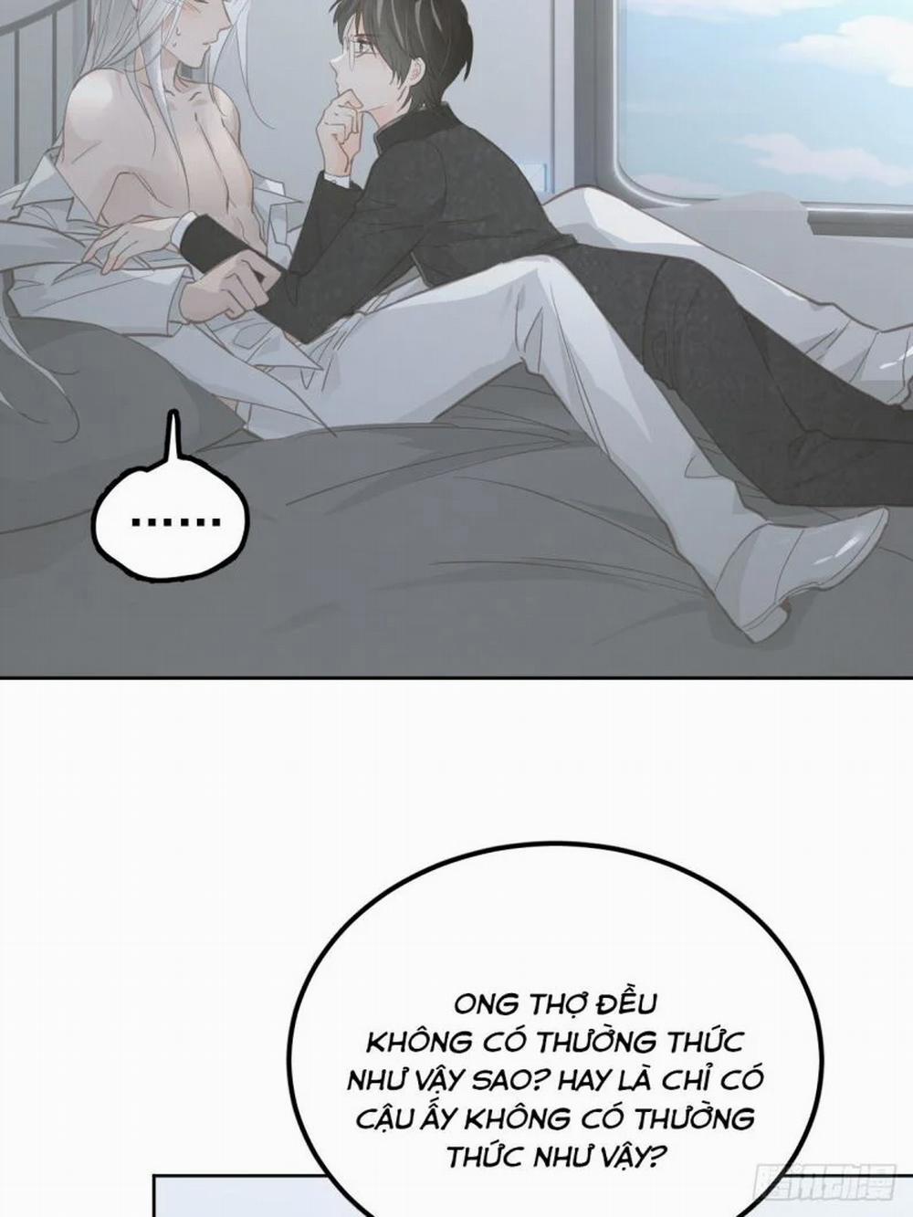 Ong Thợ 10 trang 40