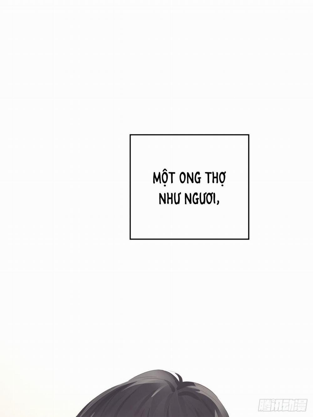 Ong Thợ 14 Mút chùn chụt trang 33