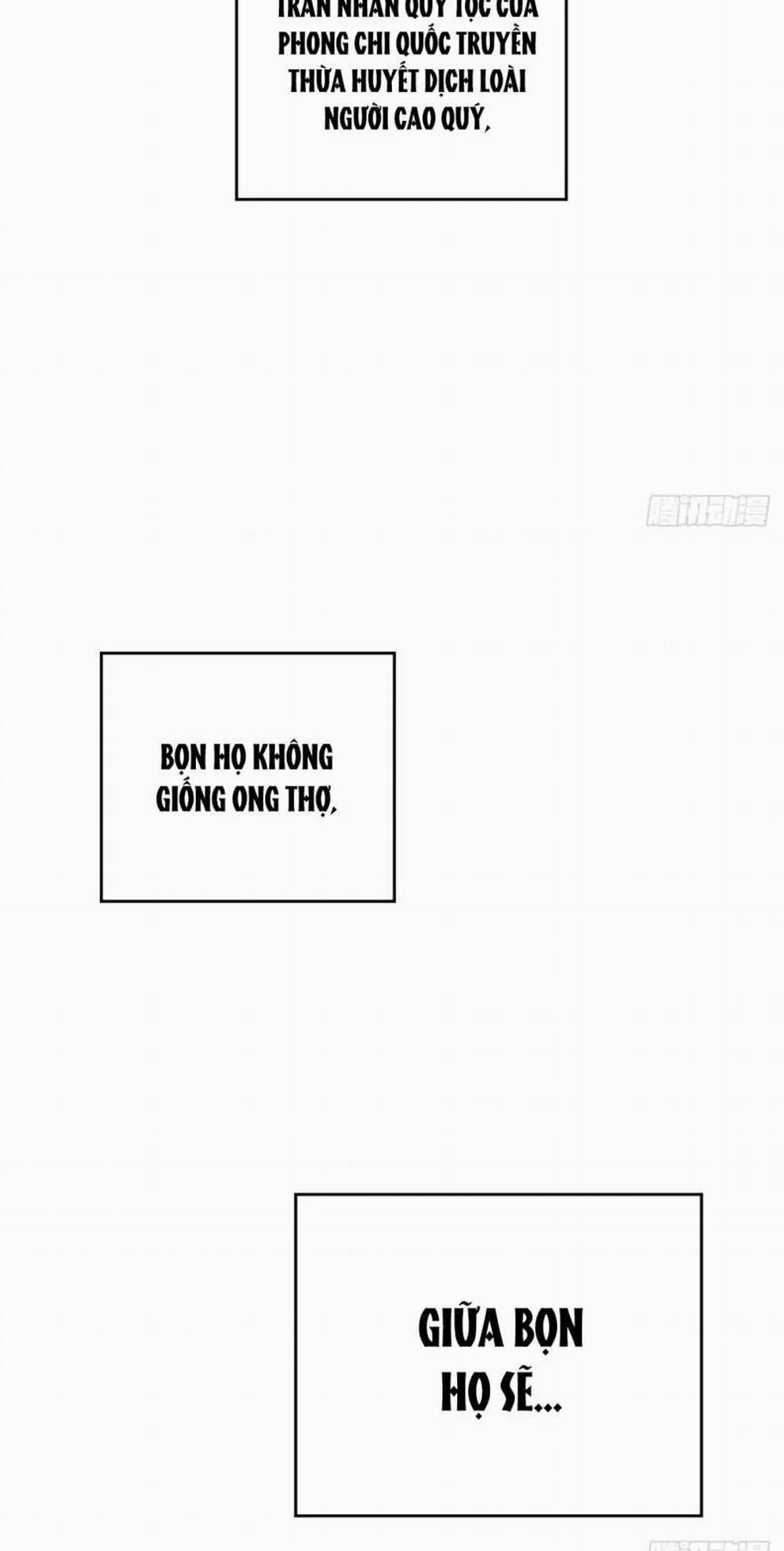 Ong Thợ 14 trang 49