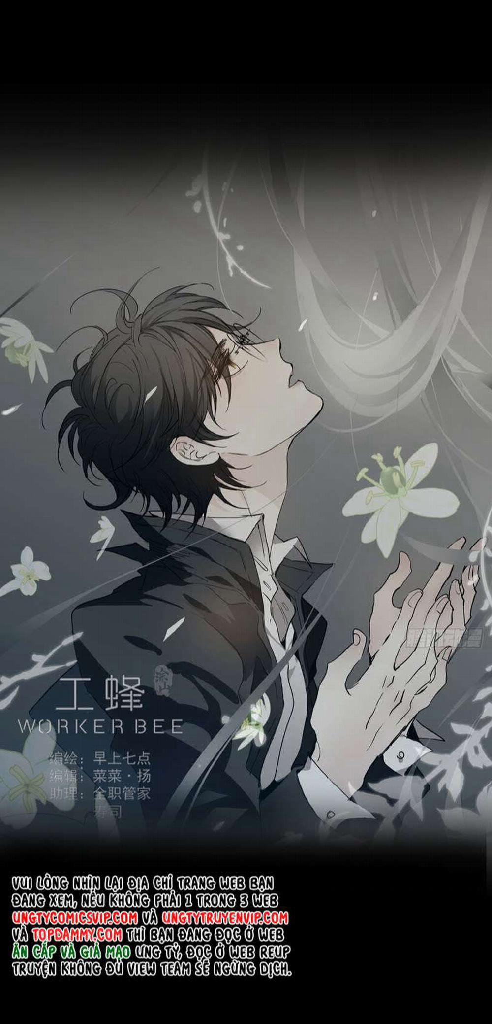 Ong Thợ 15 trang 32