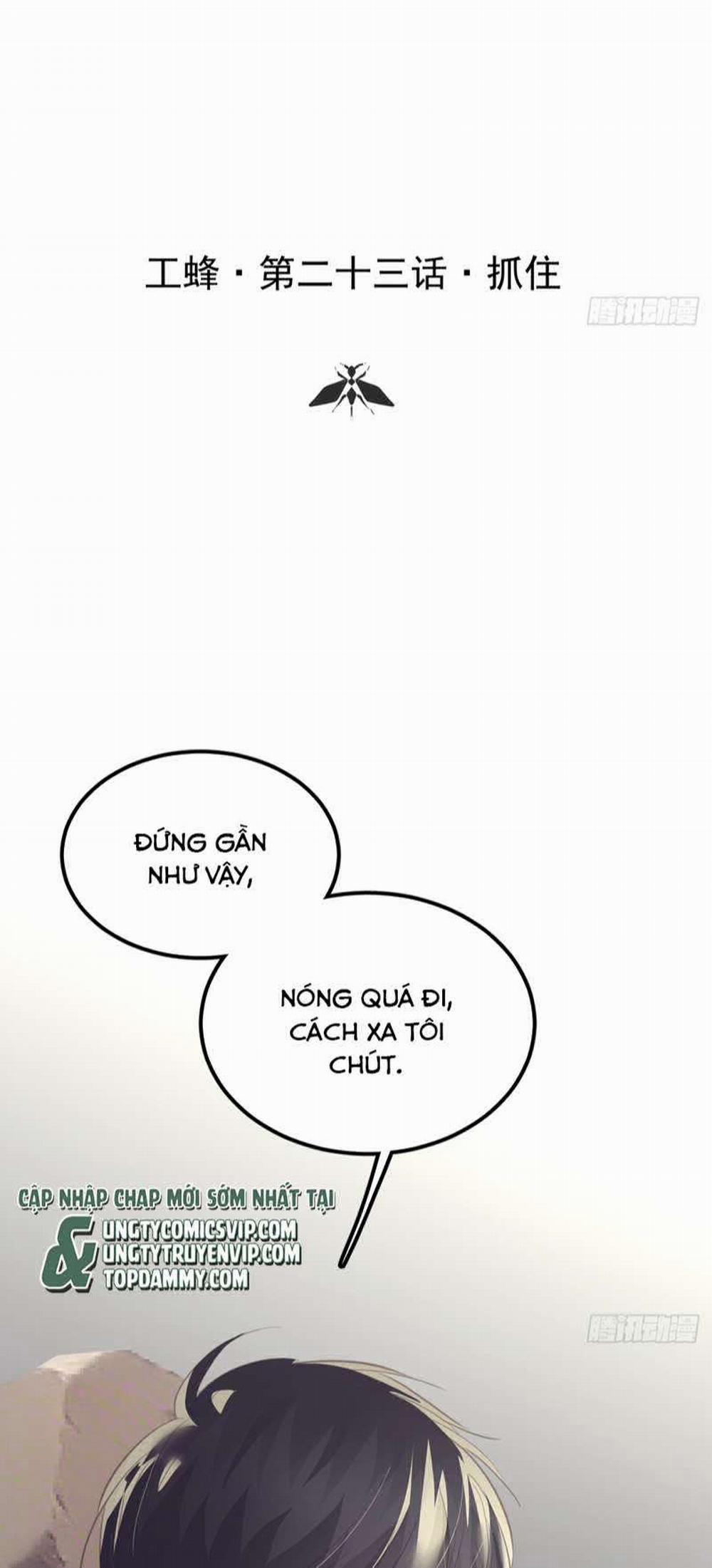 Ong Thợ 23 trang 1