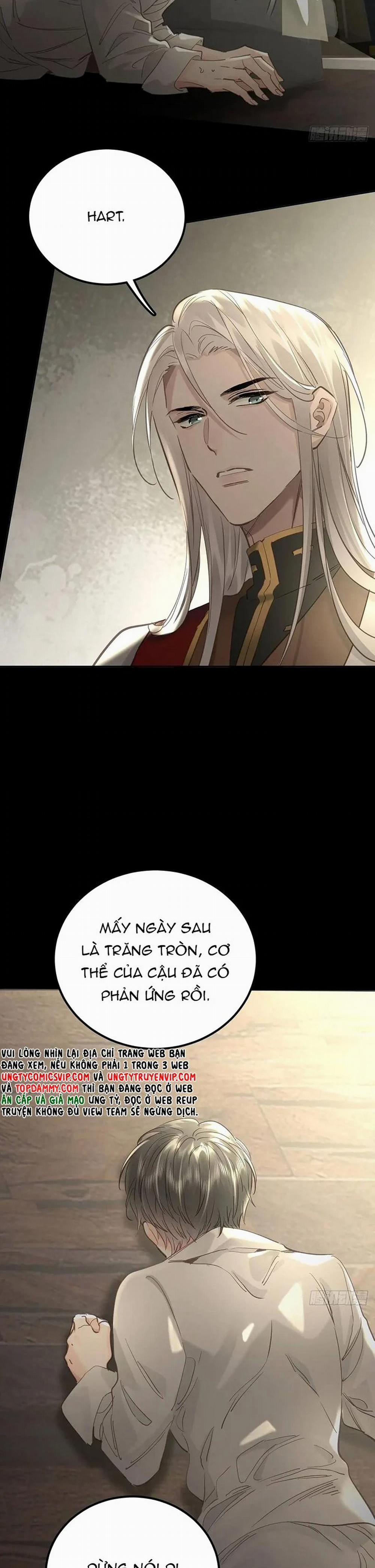 Ong Thợ 36 trang 8