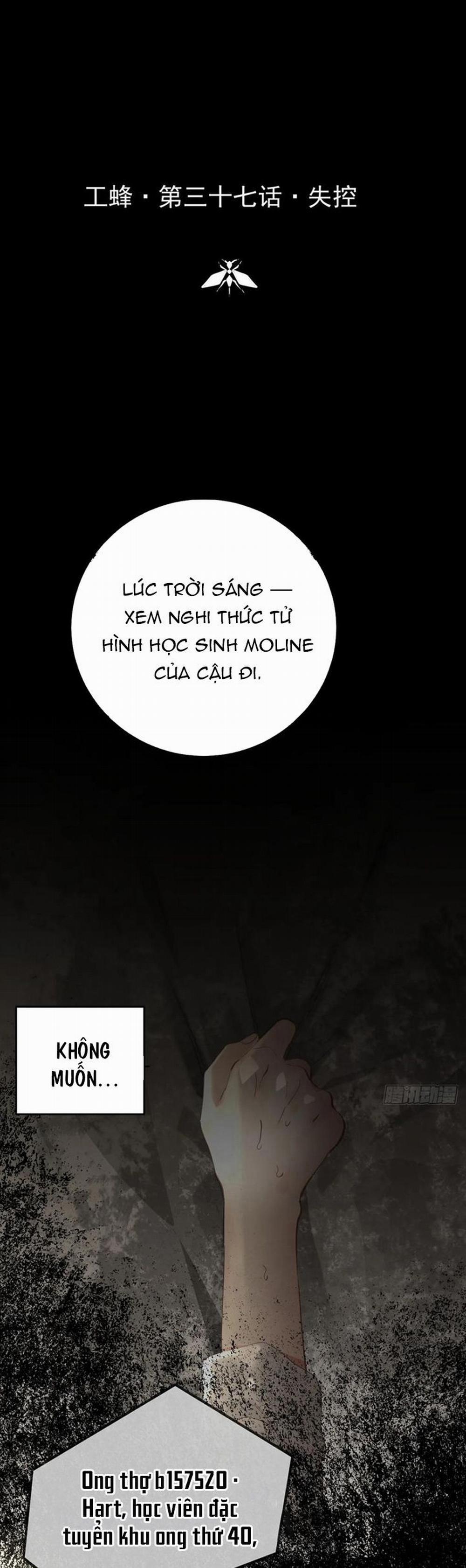 Ong Thợ 37 trang 1