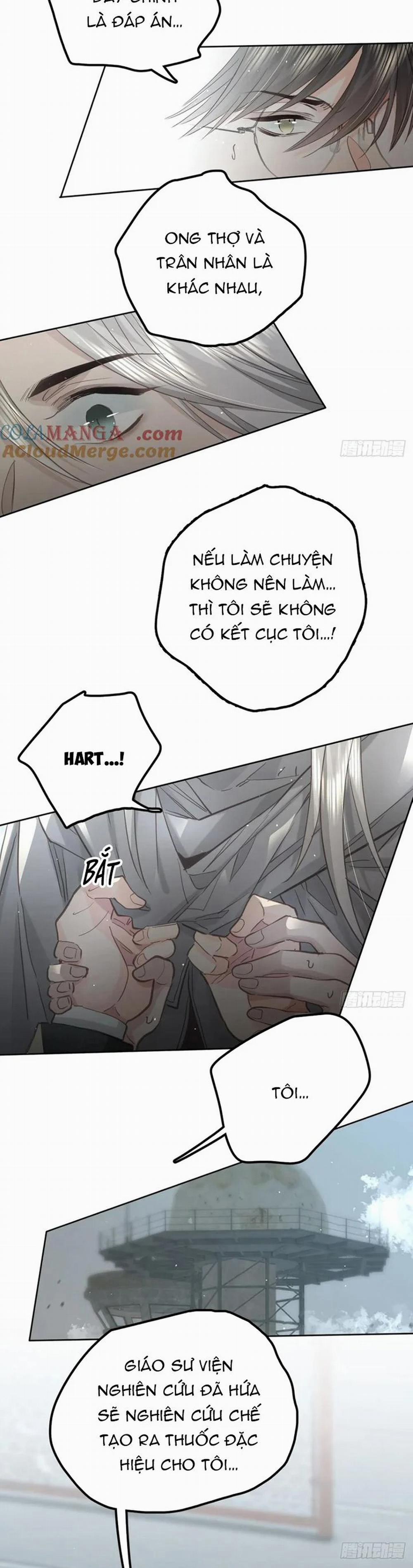 Ong Thợ 44 trang 14