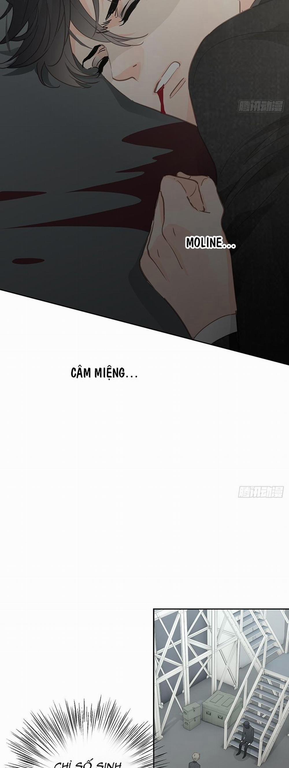 Ong Thợ 6 trang 22