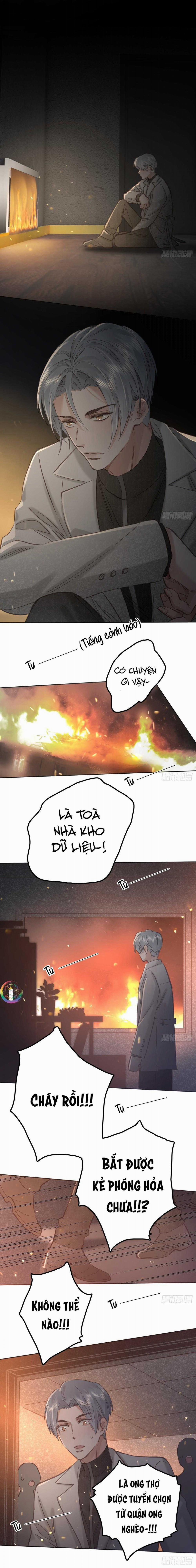 Ong Thợ 65 trang 13
