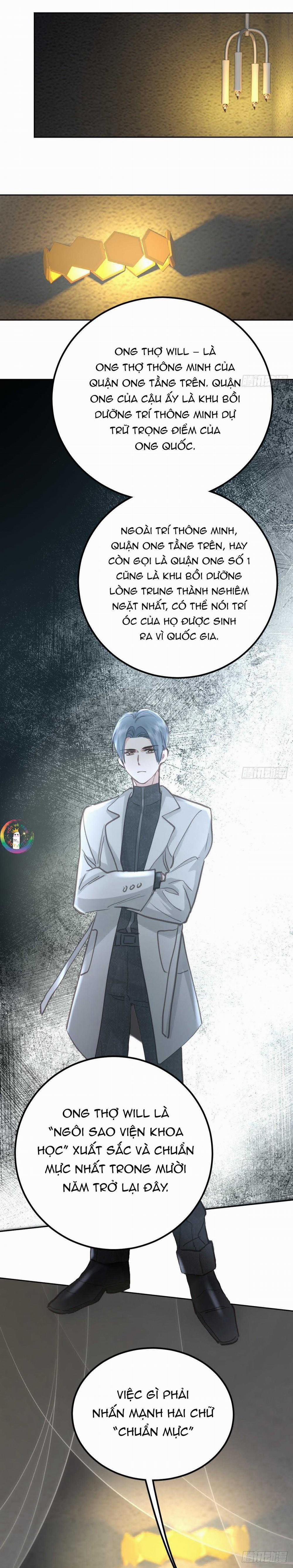 Ong Thợ 65 trang 8