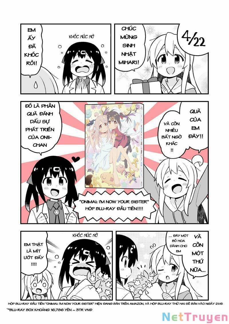 Onii-Chan Wa Oshimai 74.1 trang 0