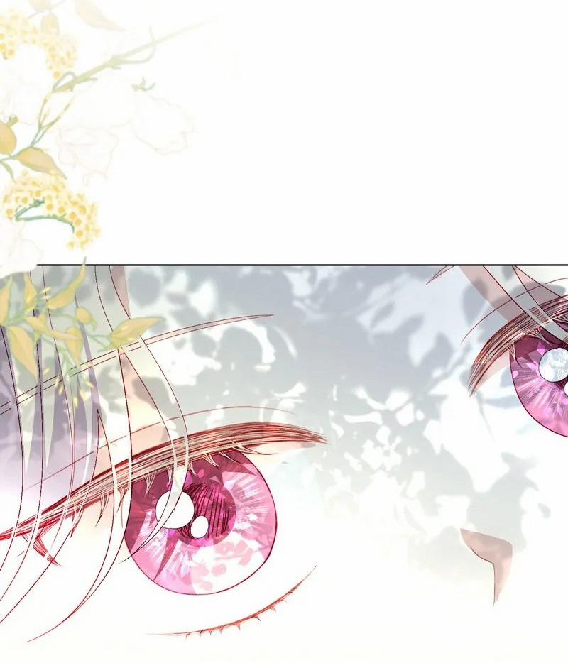 Papa Của Tôi Đã Xuất Hiện 47 trang 74