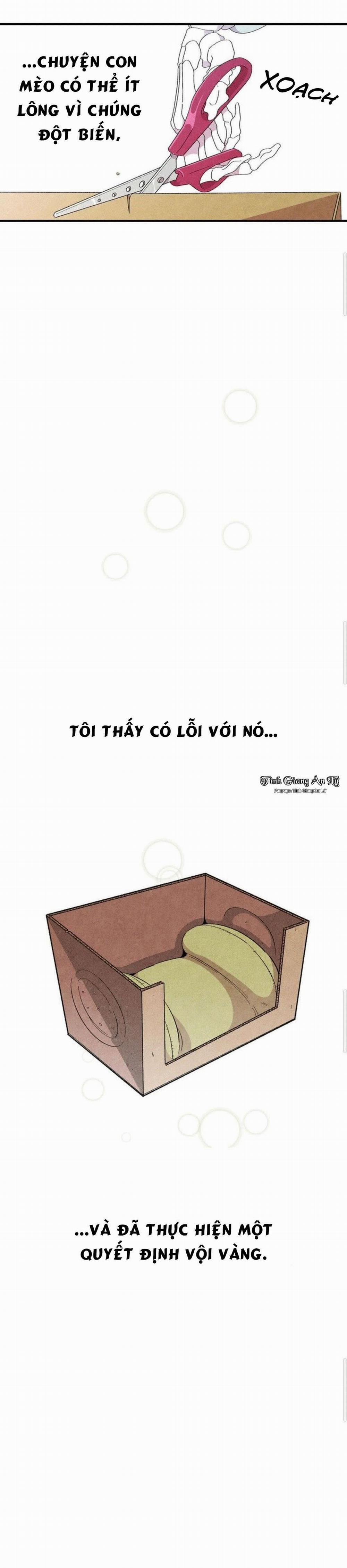 Papa Xương Khô Và Mèo Con 3 trang 8