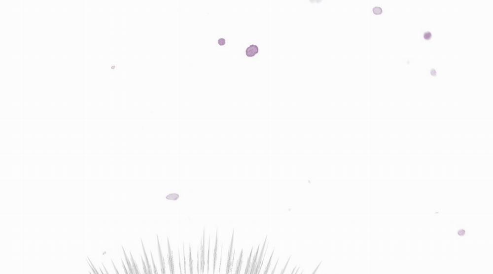 Passion 0 End season 2 trang 41