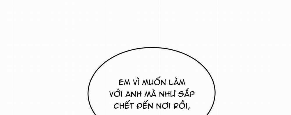 Passion 40 trang 146