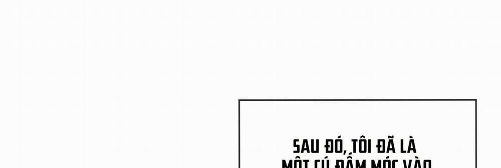 Passion 40 trang 185