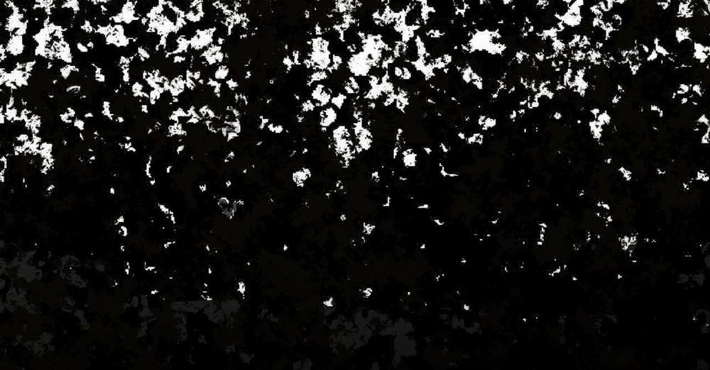 Passion 40 trang 241