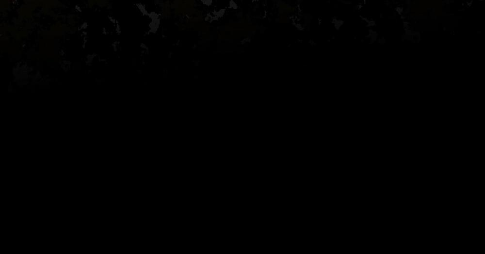 Passion 40 trang 242