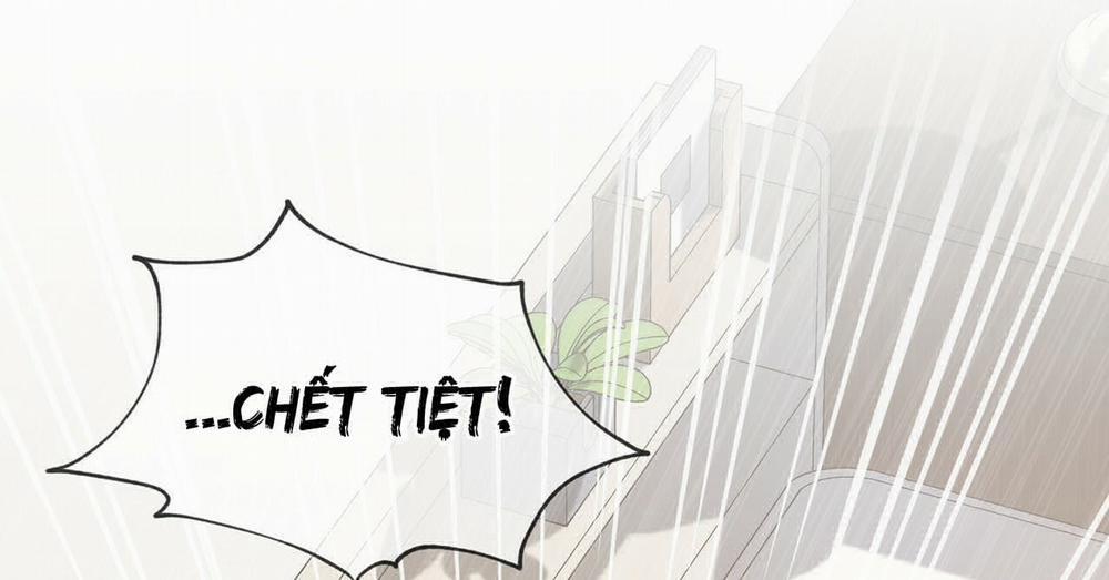 Passion 40 trang 254