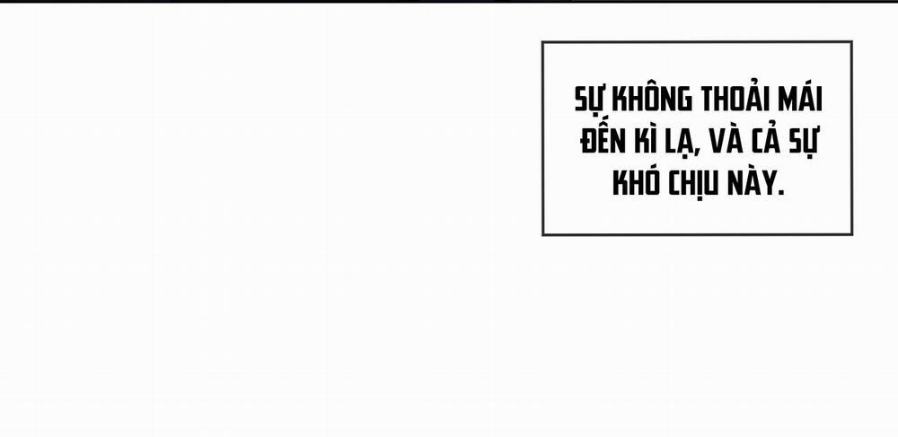 Passion 41 trang 219