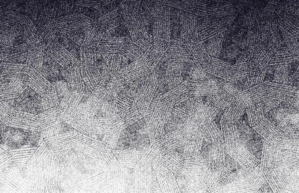 Passion 44 trang 219