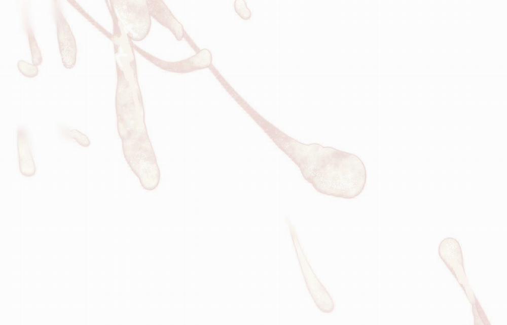 Passion 47 trang 162