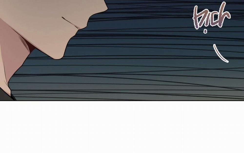 Passion 50 trang 217