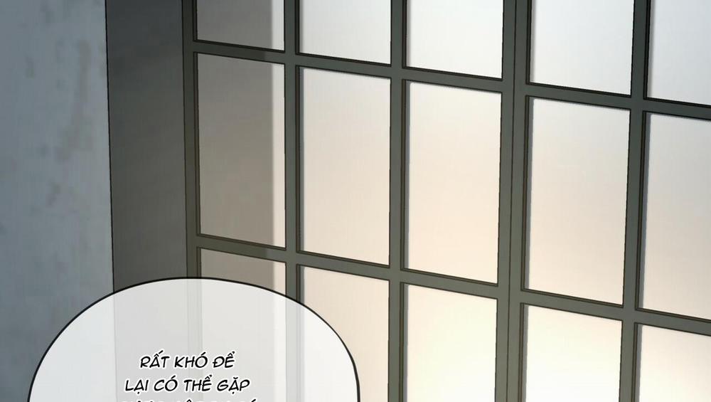 Passion 50 trang 240