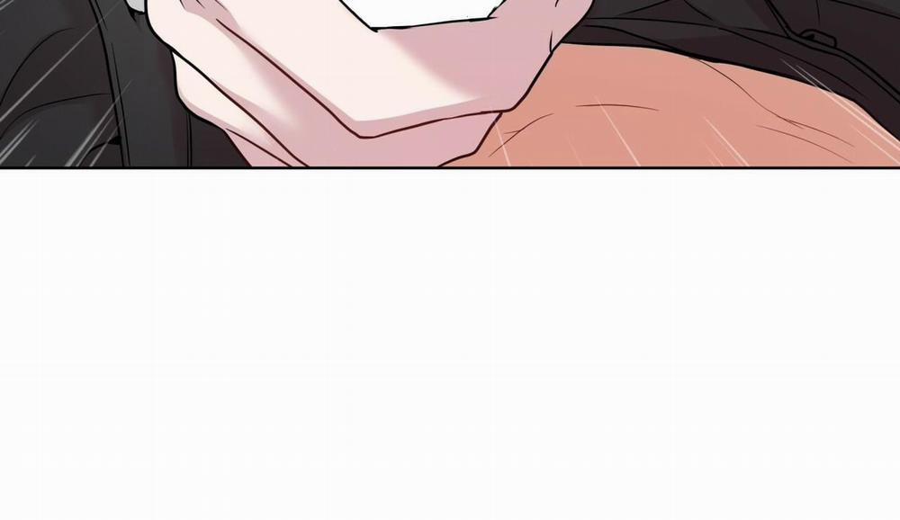 Passion 52 trang 256