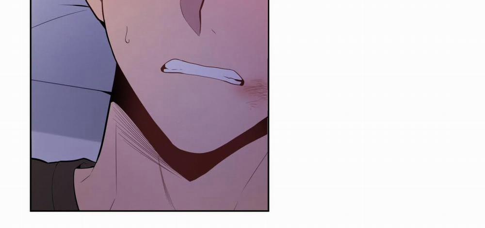 Passion 58 trang 251