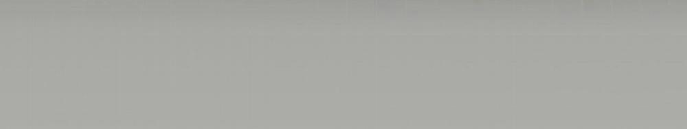 Passion 60 trang 248