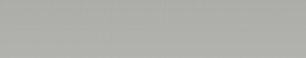 Passion 60 trang 249