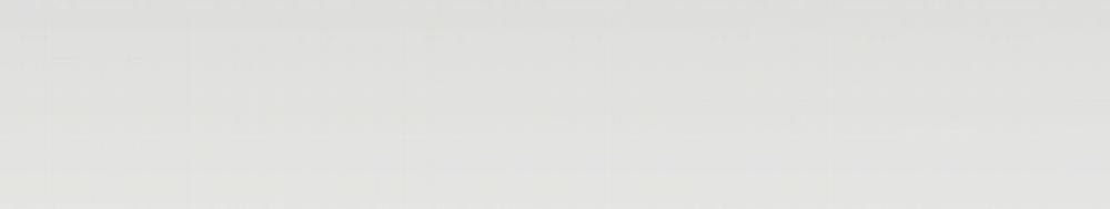 Passion 60 trang 256