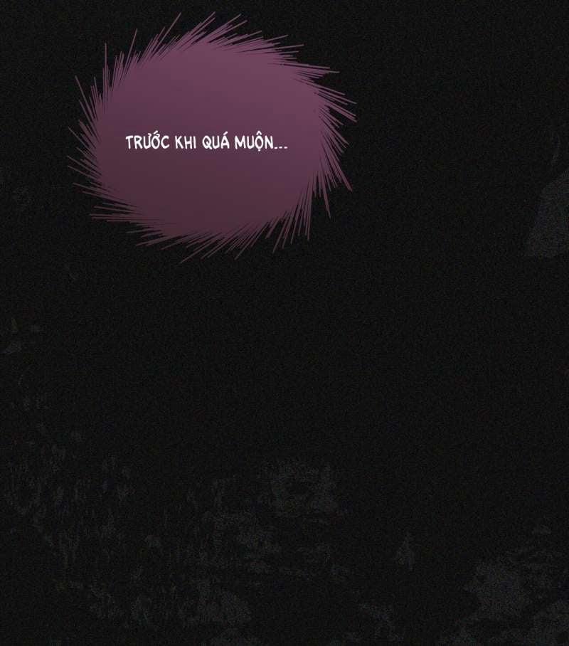 Passion 84.2 trang 29