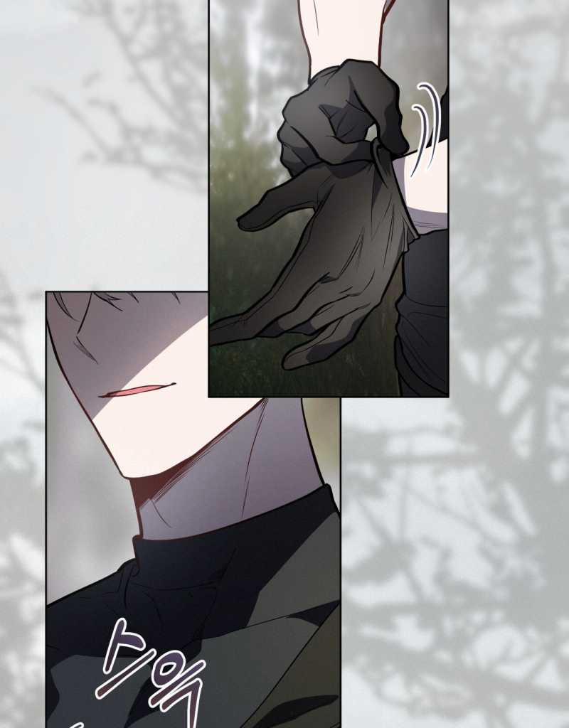 Passion 86.1 trang 13