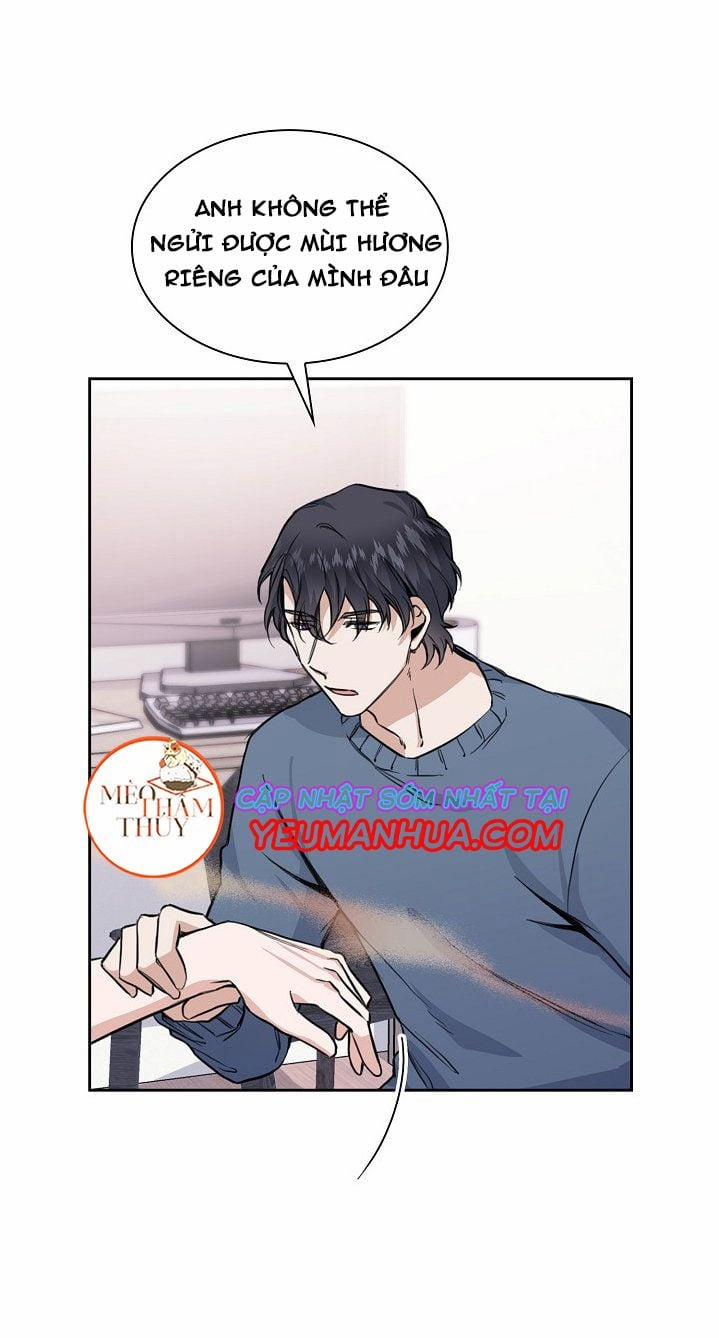 Peach & Musk 6 trang 17