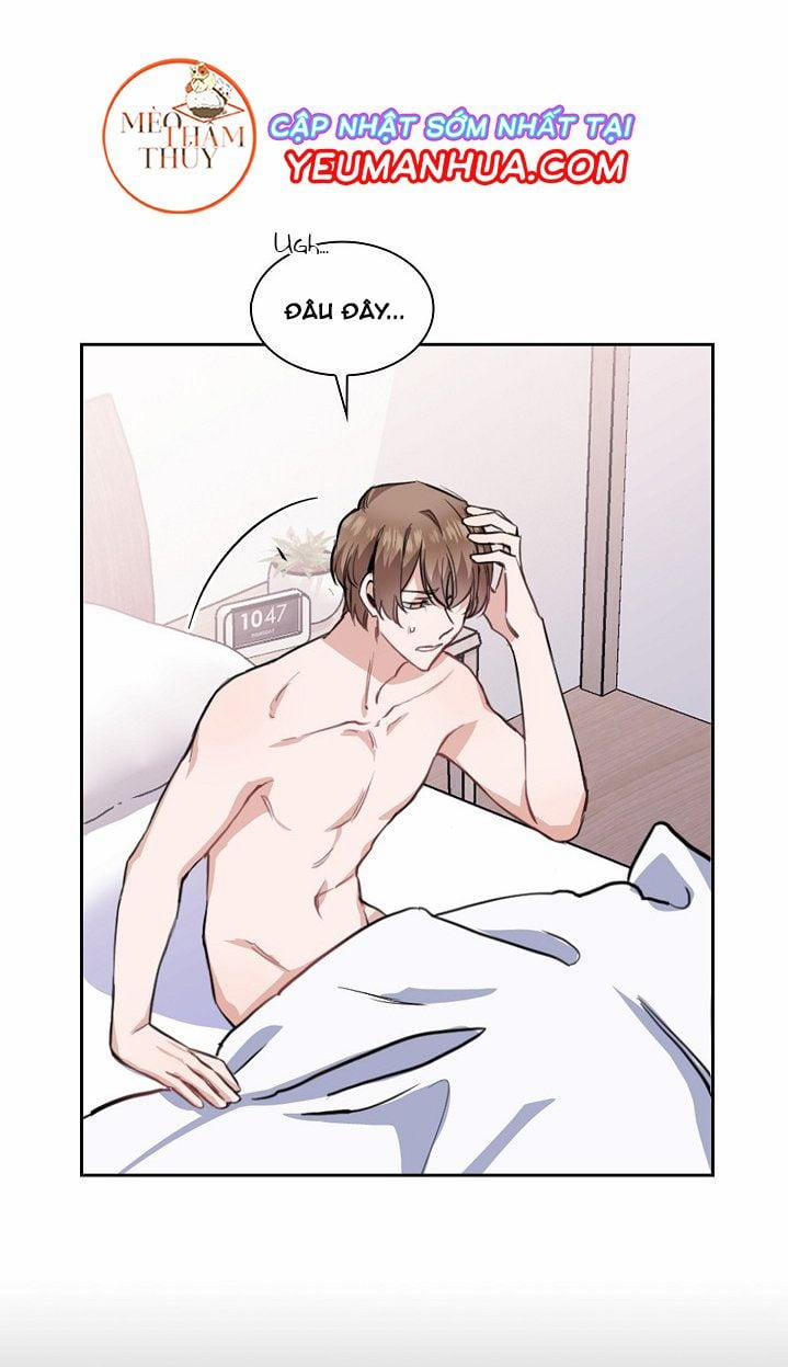 Peach & Musk 6 trang 2