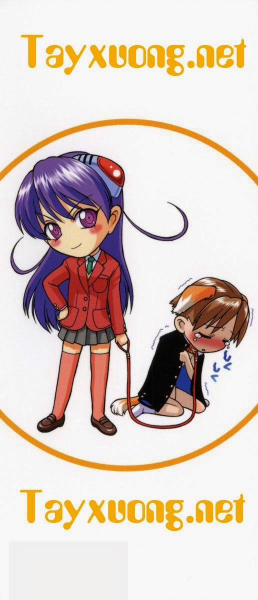 Petit-Roid 7 trang 3